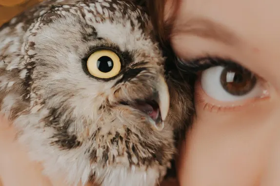 Efbet Kazino Pagalba